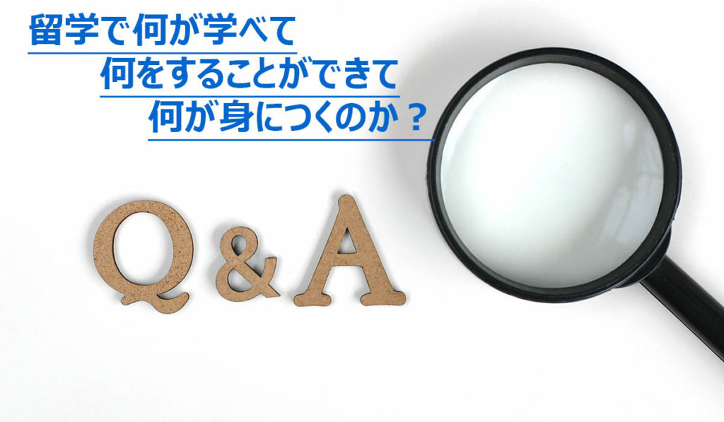 What you can study in order to study abroad